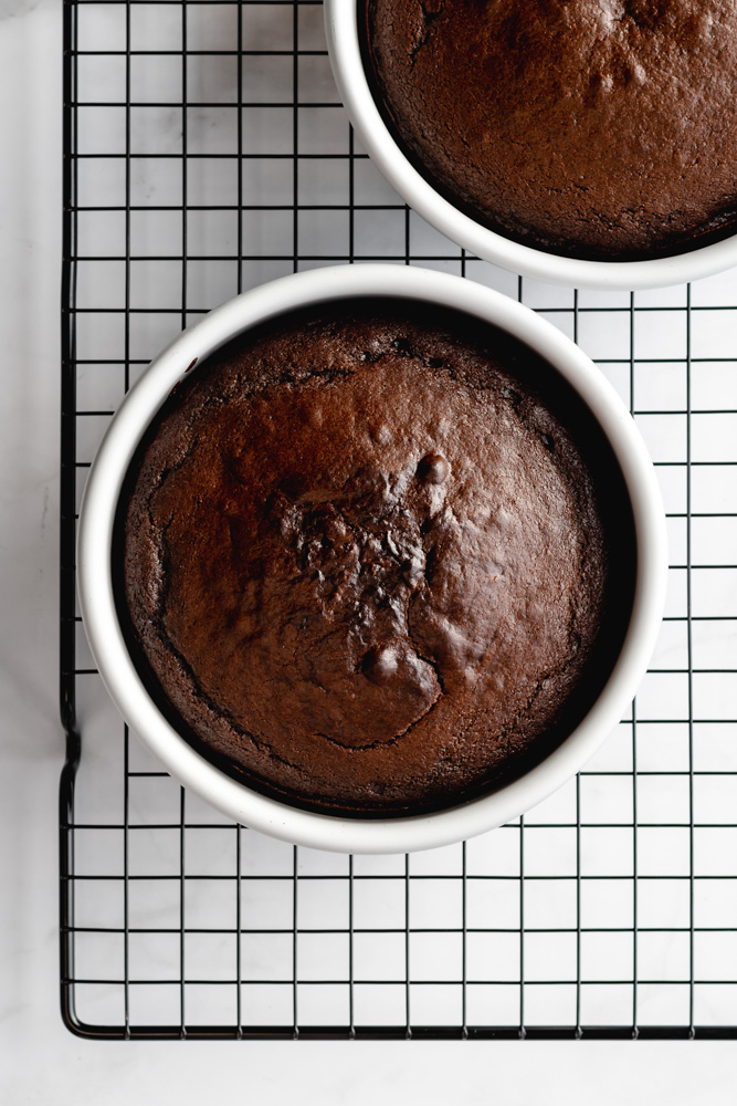 chocolate cake with hazelnut praline whipped cream filling